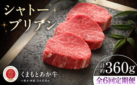 全6回定期便 GI認証 くまもとあか牛シャトーブリアン 約120g×3枚 BHAS073 シャトーブリアン