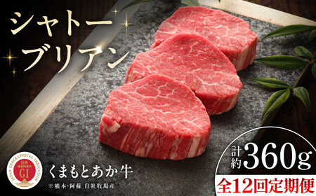 全12回定期便 GI認証 くまもとあか牛シャトーブリアン 約120g×3枚 BHAS074 シャトーブリアン