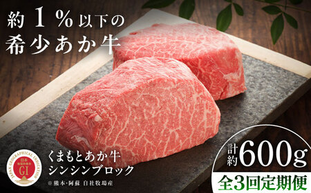 【全3回定期便】【GI認証】くまもとあか牛シンシンブロック 約300g×2枚 シンシンブロック BHAS075