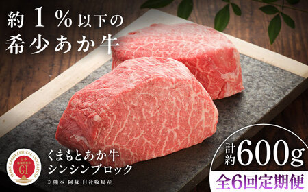 全6回定期便GI認証 くまもとあか牛シンシンブロック 約300g×2枚 BHAS076 シンシンブロック