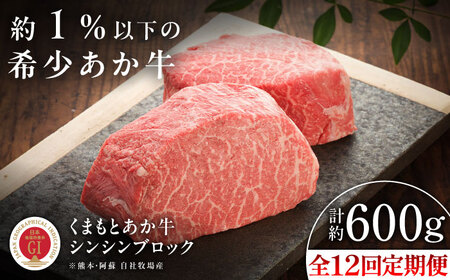 全12回定期便 GI認証 くまもとあか牛シンシンブロック 約300g×2枚 BHAS077 シンシンブロック