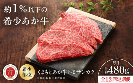 全12回定期便 GI認証 くまもとあか牛トモサンカク 約120g×4枚BHAS080 トモサンカク