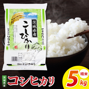 米 コシヒカリ 精米 5kg 令和7年産 茨城県産 お米 こめ コメ ごはん 白米 こしひかり 茨城県産米 単一米 単一原料米 安心 安全 送料無料 国産 人気 数量限定 高評価（85-11）