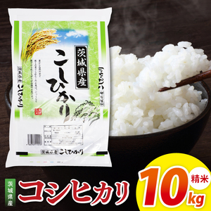 米 コシヒカリ 精米 10kg 令和7年産 茨城県産 お米 こめ コメ ごはん 白米 こしひかり 茨城県産米 単一米 単一原料米 安心 安全 送料無料 国産 人気 数量限定 高評価（85-12）