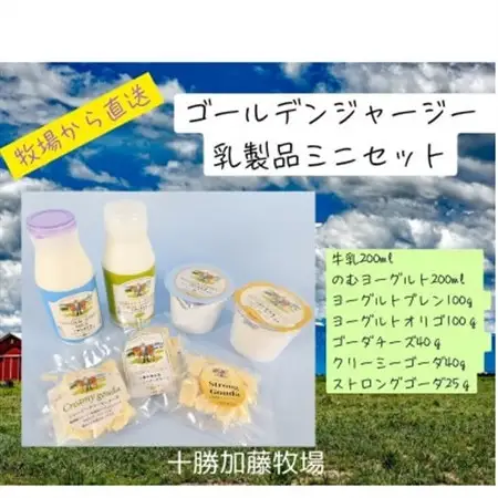ゴールデンジャージー乳製品(牛乳・のむヨーグルト・プレン・オリゴ・チーズ3種)ミニセット【配送不可地域：離島】【1595681】
