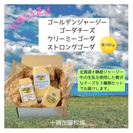 ゴールデンジャージー ゴーダ＆クリーミーゴーダ＆ストロングゴーダ　各100g【配送不可地域：離島】【1601816】