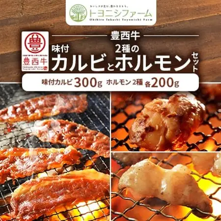 豊西牛味付カルビと2種のホルモンセット【配送不可地域：離島】【1606345】