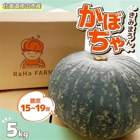 北海道帯広市産　かぼちゃ「きみまろん」5kg　糖度15～19度【1608373】