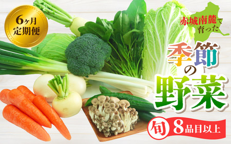 野菜【6カ月定期便】赤城南麓で育った季節の野菜