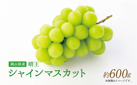 【岡山県産】 シャインマスカット 約600g 【2026年9月上旬〜11月下旬発送予定】 ／ ぶどう ブドウ 葡萄 マスカット 種なし 種無し フルーツ 果物 くだもの 果実