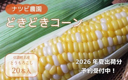 2026年夏分のご予約受付中！ナツビ農園『どきどきコーン』20本セット（約9kg）信濃町名産とうもろこし／白と黄色のバイカラー品種 令和8年7月下旬～8月下旬に随時出荷予定【長野県信濃町】