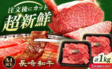 【3回定期便】訳あり長崎和牛焼肉切り落とし約1kg[ECS070] 