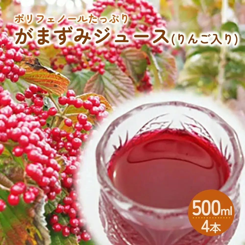 【２０２７年２月～発送】がまずみジュース（りんご入り）５００ｍｌ×４本　0075-2617