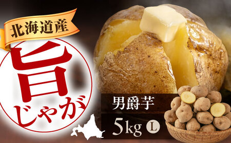 【9月下旬以降順次発送】男爵芋 5kg じゃがいも [AJAK027]