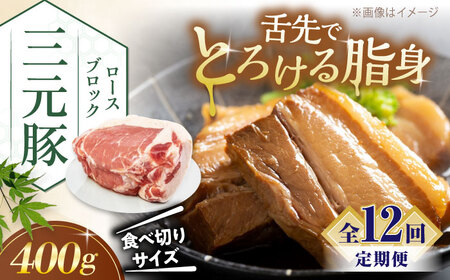【全12回定期便】平田牧場 ロース ブロック 400g  豚肉 ローストポーク 煮豚 [AJAP168]