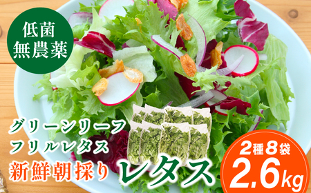 無農薬 レタス (2種類2.6kg) 無農薬野菜 MBF002