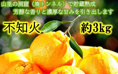 冷蔵発送/岸田果樹園の不知火 約3kg_1514R