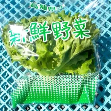 【栽培期間中農薬不使用】四国のど真ん中で栽培された生鮮リーフレタス　約100g×8袋セット【配送不可地域：離島】【1493186】