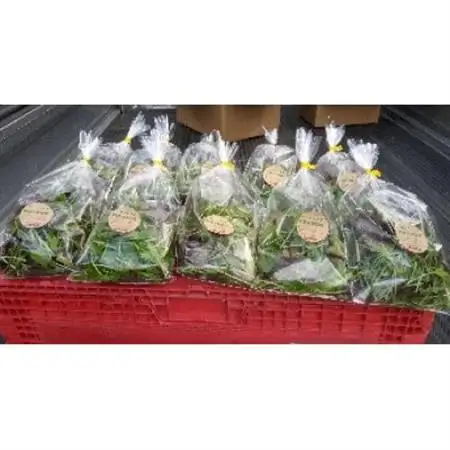 【栽培期間中農薬不使用】四国のど真ん中で栽培された生鮮ベビーリーフ　約40g×10袋セット【配送不可地域：離島】【1508370】