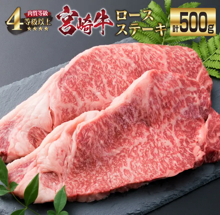 宮崎牛 ロース ステーキ 計500g 牛肉 ビーフ 黒毛和牛 国産 ブランド牛 食品 人気 おすすめ 真空パック 小分け 個包装 おかず 焼肉 BBQ 鉄板焼き 高級 贅沢 ご褒美 ディナー お祝い 記念日 おもてなし お取り寄せ グルメ おすそ分け 宮崎県 日南市 送料無料_EB2-191