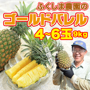 ゴールドバレル【パインアップル】(4～6玉）約9kg　ふくしま農園の自信作！◆2026年発送◆ ゴールドバレル パイナップル 高品質 新鮮 ジューシー 希少 高い糖度 大玉 甘い トロピカル パイン 生産量日本一 高級フルーツ 南国フルーツ 国産フルーツ 完熟 福島 農家直送 沖縄 東村［■提供事業者：ふくしま農園］