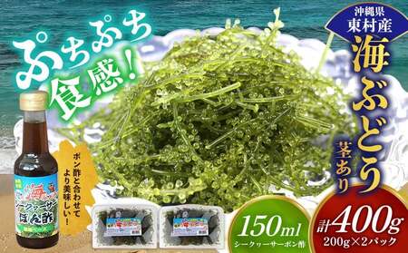 美ら海 沖縄県産 海ぶどうセット／茎あり400g（200g×2パック）ポン酢付