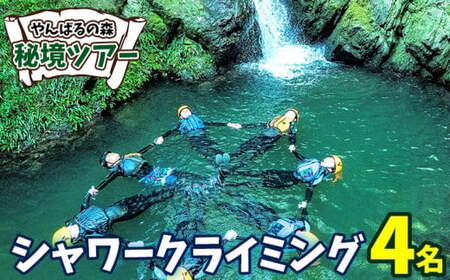 やんばるの森 秘境ツアー【シャワークライミング】4名様