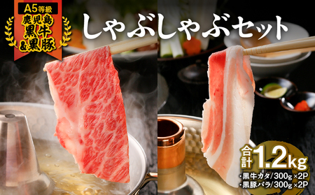 746-2 （A-2101）【5等級】鹿児島黒牛・鹿児島黒豚しゃぶしゃぶセット KN009-002 肉 豚肉 牛肉