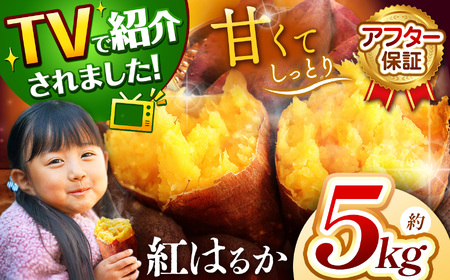 さつまいも TVで紹介！ 【 アフター保証 】甘くておいしい！ 紅はるか 5kg