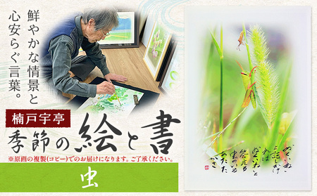 季節の絵と書 虫 絵 楠戸宇亭