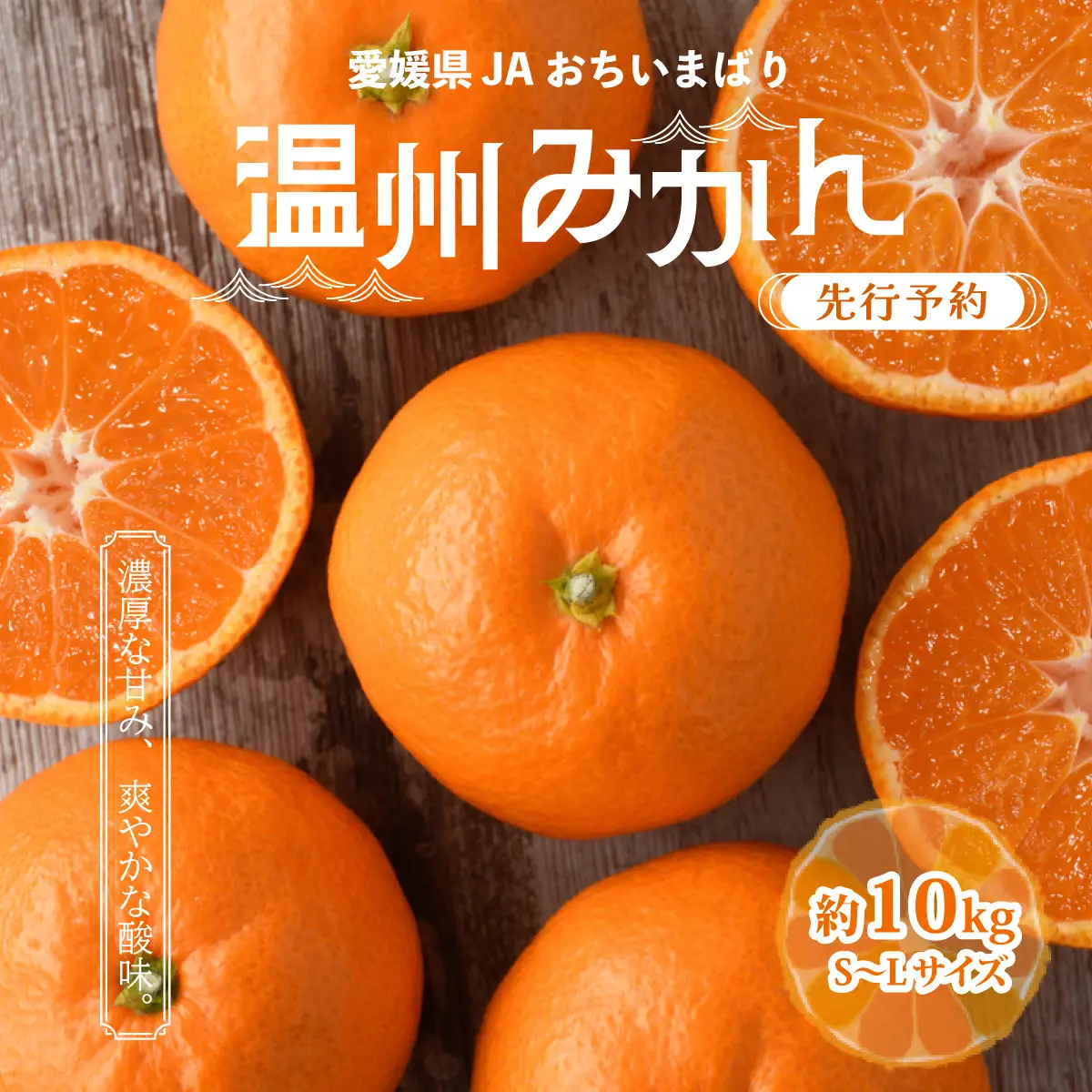 みかん 【先行予約】瀬戸内の温州みかん10kg　L～S　JA選果品