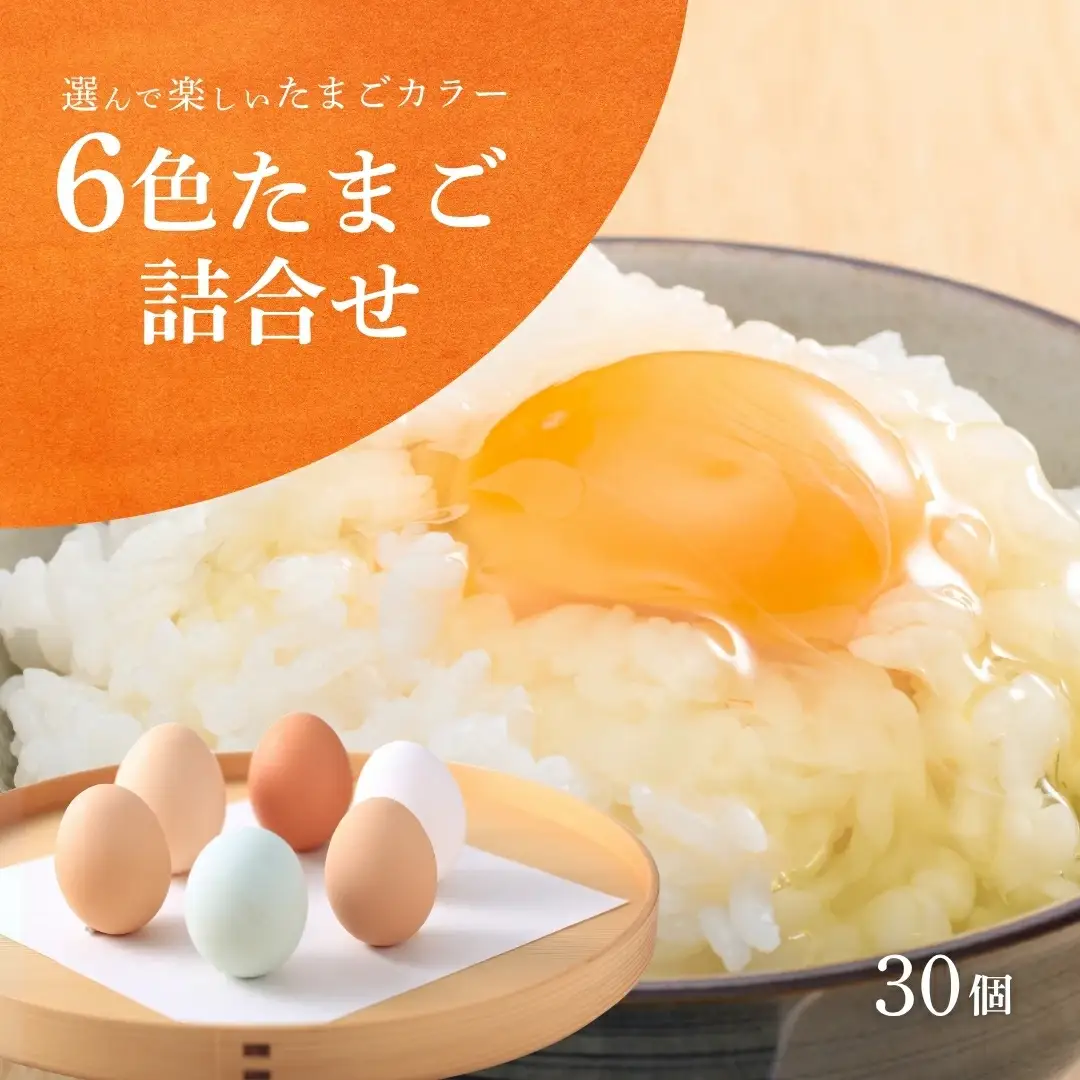 卵 産みたて 6色たまご詰合せ 30個 | 新潟県 たまご