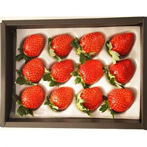 【先行予約】三重県鈴鹿市産 いちご とちおとめ 12粒