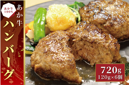 B299-15 あか牛100％ハンバーグ セット（あか牛ハンバーグ120g×6個）