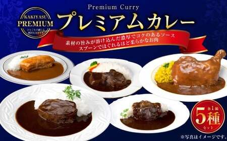 プレミアムカレー 5種セット カレーライス 牛肉 鶏肉 豚肉 湯煎 098-0017