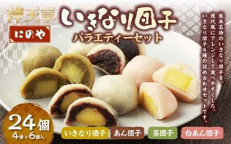 熊本上天草 にのやのいきなり団子バラエティーセット 4種×各6個 合計24個 いきなりだんご いきなり団子 だんご 団子 餡子 スイーツ お菓子 和菓子 おやつ デザート 冷凍 熊本県 上天草市