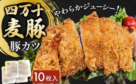 四万十麦豚 豚カツ （約100g×10枚）麦豚 トンカツ 冷凍 背ロース Ahc-18