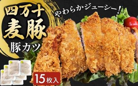 四万十麦豚 豚カツ （約100g×15枚）麦豚 トンカツ 冷凍カ 背ロース Ahc-19