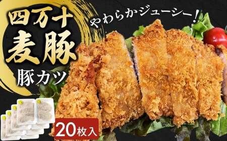 四万十麦豚 豚カツ （約100g×20枚）麦豚 トンカツ 冷凍 背ロース Ahc-20