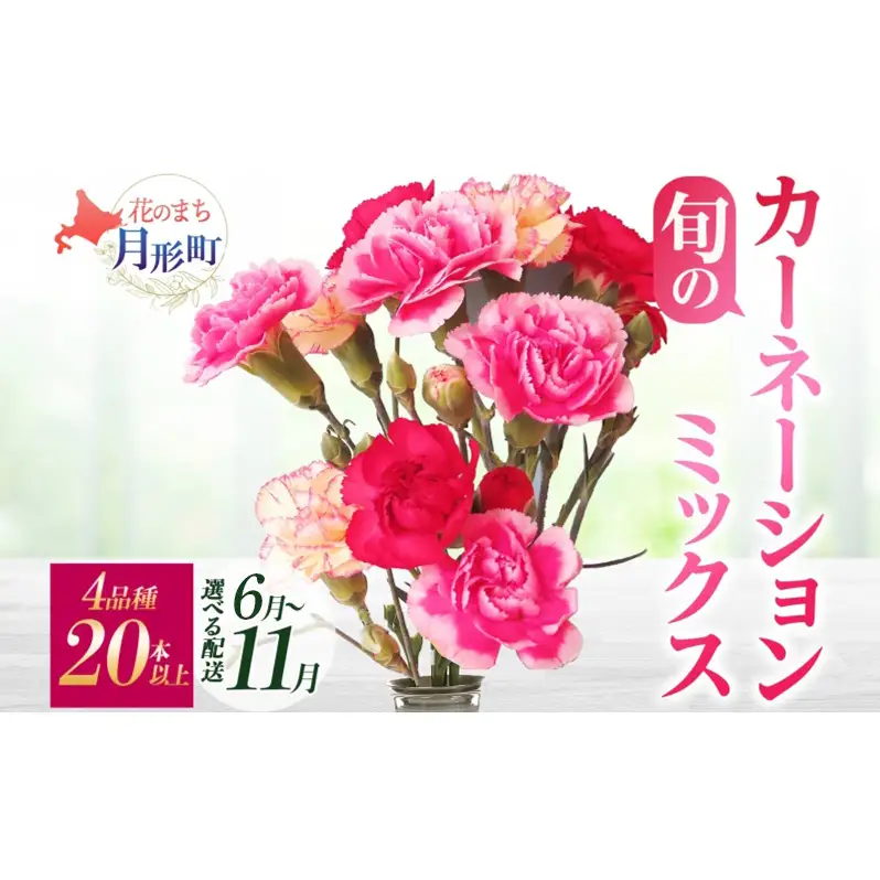 ＜選べる配送月＞ 北海道 カーネーション ミックス 4品種 12本以上 切り花 切花 花束 ブーケ 季節 旬 生花 フラワー アレンジメント 記念日 産地直送 つきがたふるさと花の会 6月お届け