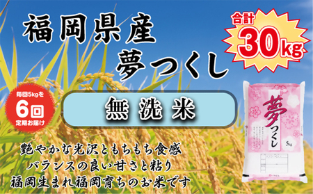 BZ-011_【令和7年産新米先行予約】【定期便6か月】【無洗米】食味鑑定士厳選　 福岡県産夢つくし5kg（5kg×1）6ヶ月連続で！　計30kg