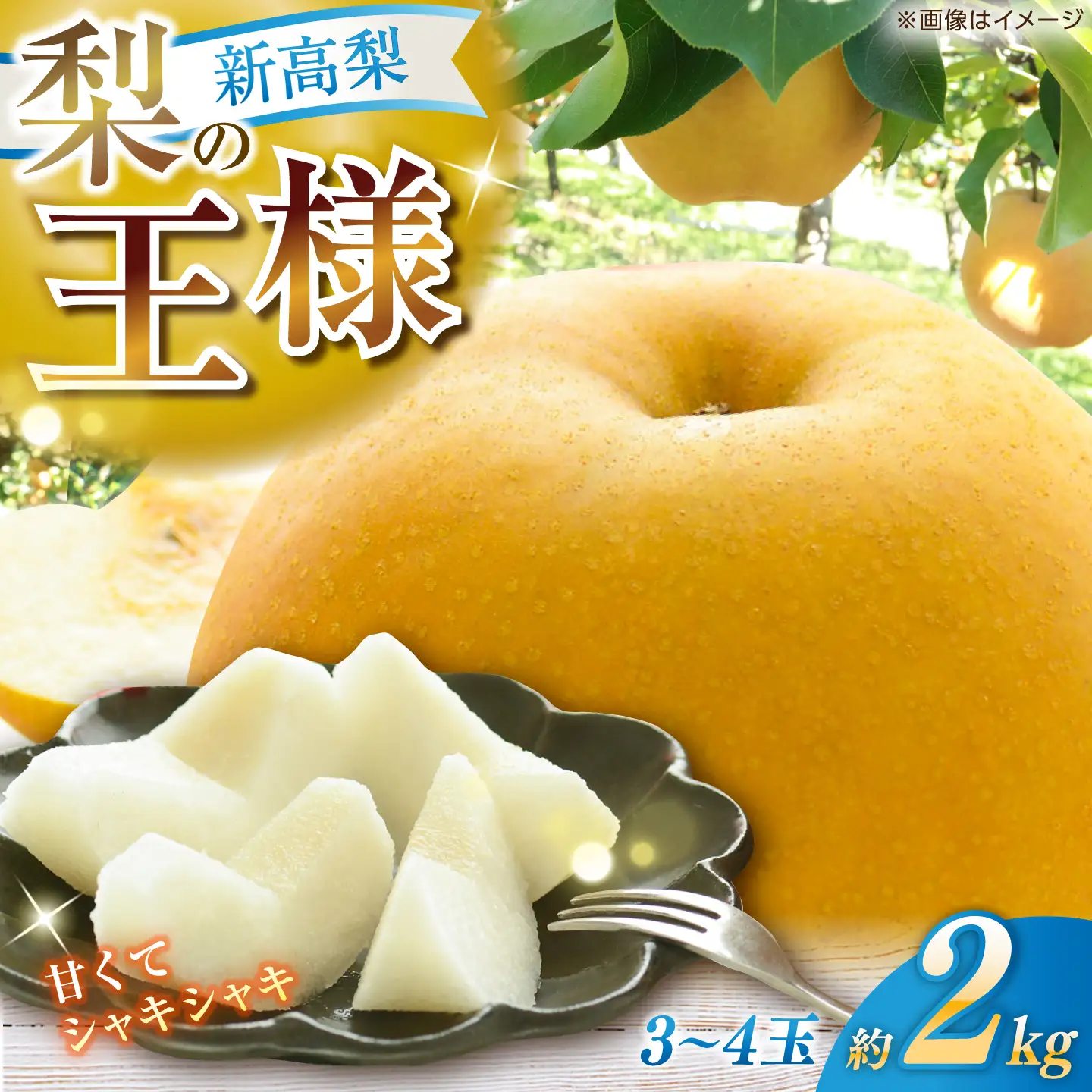 【先行予約】 新高梨 約2kg（3~4玉） 〈2026年9月20日~10月末発送〉 / 高知 針木 新高梨 梨 和梨 果物 フルーツ デザート 【川渕果樹園】[ATHX001]