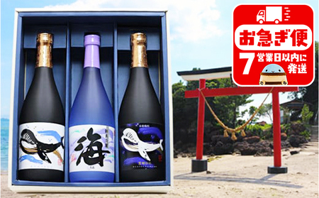 B2-25176／大海酒造 　720ml　3本セット
