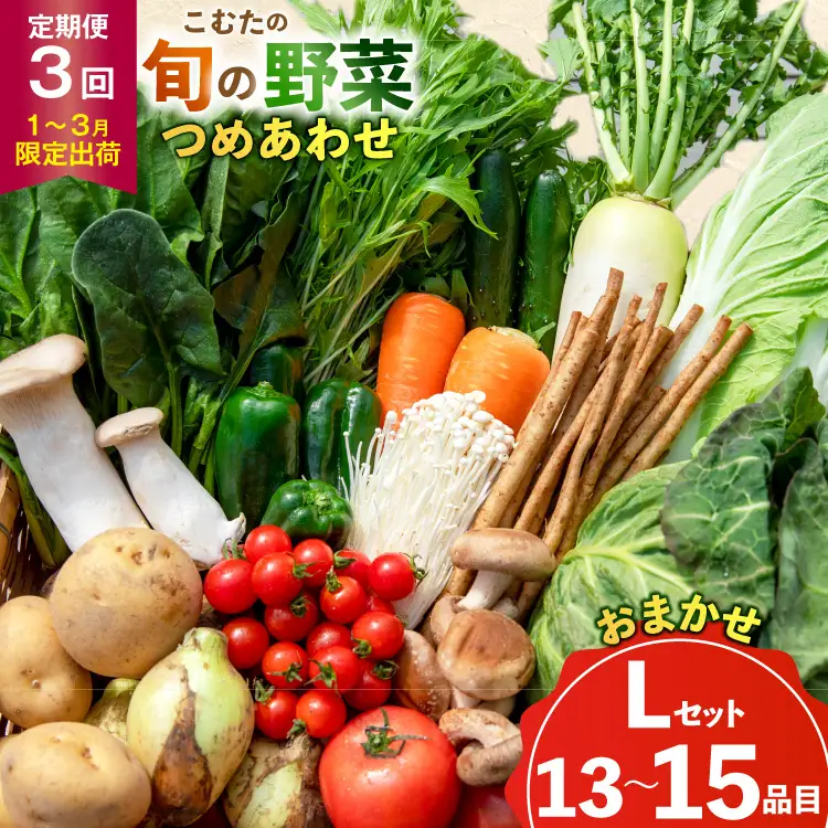 AJ435 【3回定期便】【1～3月限定出荷】こむたの旬の野菜 (13～15品目) おまかせLセット [長崎県 島原市]