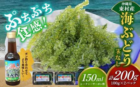 美ら海 沖縄県産 海ぶどうセット／茎なし200g（100g×2パック）ポン酢付