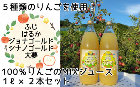 【5品種ミックス】果汁100％りんごジュース 1L×2本セット りんごジュース