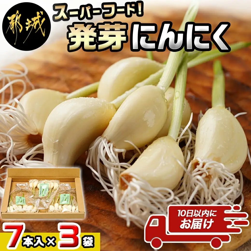 スーパーフード!つまみにんにく 7本入り×3袋※冷蔵≪みやこんじょ特急便≫〔LE-C901-Q〕_(都城市) 水耕栽培 発芽（スプラウト） GABA 体づくり