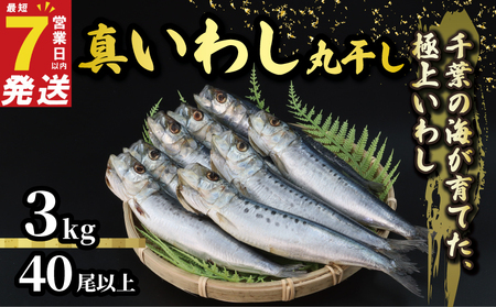 いわしの丸干し  約 3kg   イワシ