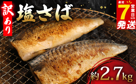 【訳あり】塩サバ 約2.7kg フィーレ 【塩さば】