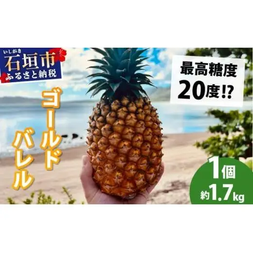 石垣島産完熟ゴールドバレル 1玉 約1.7kg